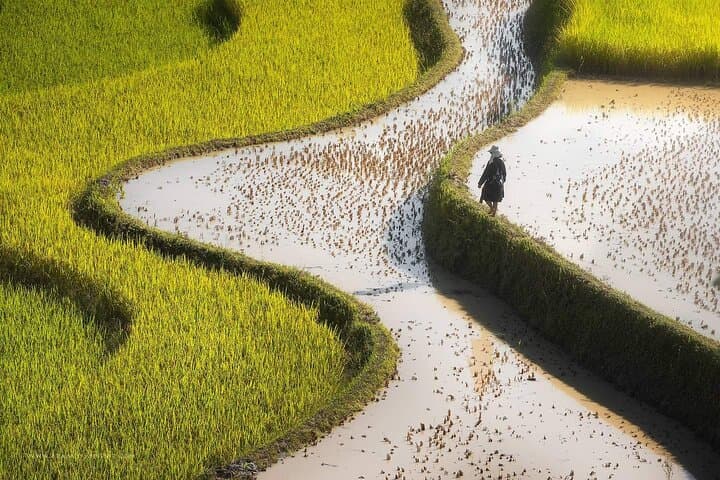 Hoang Su Phi 4-Day Motorbike and Hiking Loop — Terraced Fields & Homestays photo 3