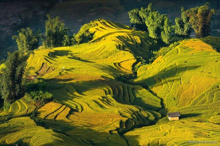 Hoang Su Phi 4-Day Motorbike and Hiking Loop — Terraced Fields & Homestays photo 4