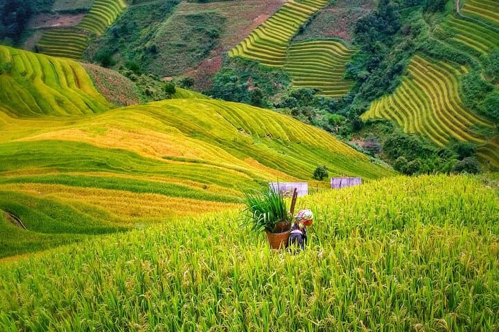 Hoang Su Phi 4-Day Motorbike and Hiking Loop — Terraced Fields & Homestays photo 5