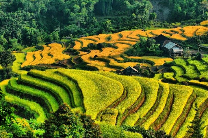 Hoang Su Phi 4-Day Motorbike and Hiking Loop — Terraced Fields & Homestays photo 6
