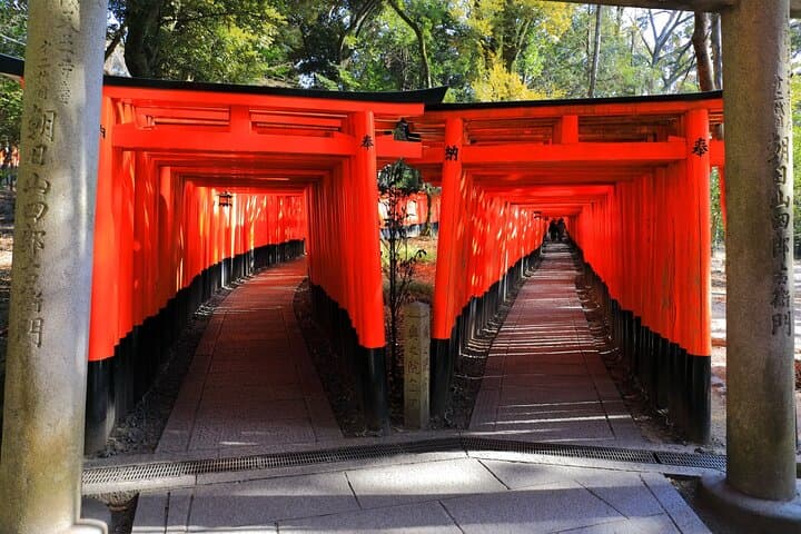 Bullet Train to Temples: Super Express Nara & Kyoto Day Trip from Tokyo photo 3