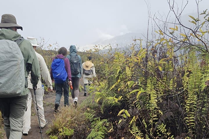 Isabela Island Sulphur Mine & Agro Tour — Minas de Azufre Hike and Finca Dinastía Visit photo 3