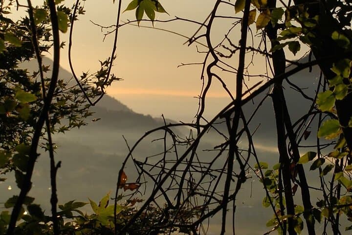Forest Bathing and Mt. Fuji Views: Private Hiking Experience from Gotemba photo 6