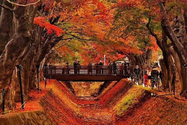 Mt. Fuji Views and Kawaguchiko Scenic Day Tour from Tokyo photo 3