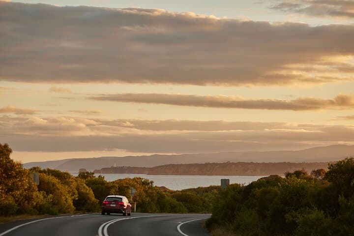 Great Ocean Road Day Tour: 12 Apostles, Otways & Coastal Wildlife photo 2