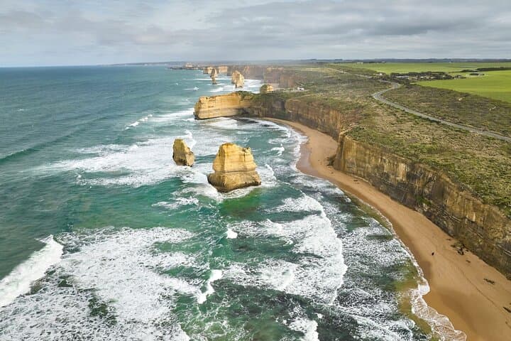 Great Ocean Road Day Tour: 12 Apostles, Otways & Coastal Wildlife