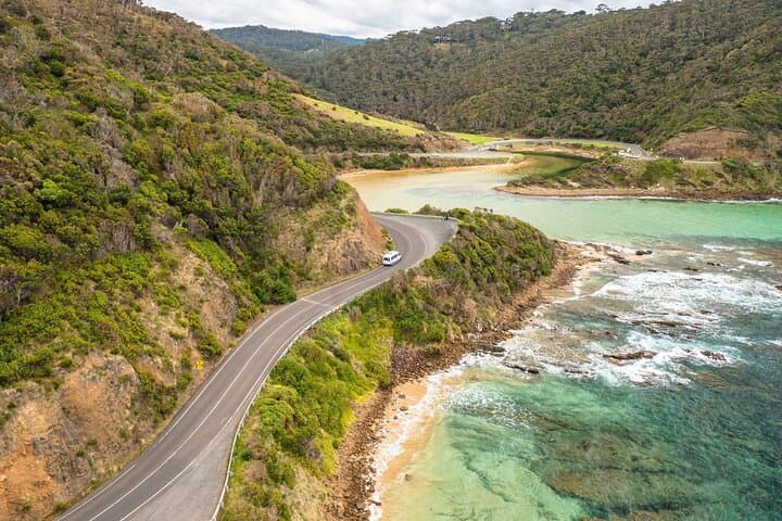 Great Ocean Road Day Tour: 12 Apostles, Otways & Coastal Wildlife photo 5