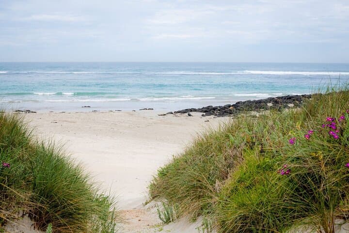 Great Ocean Road Day Tour: 12 Apostles, Otways & Coastal Wildlife photo 3