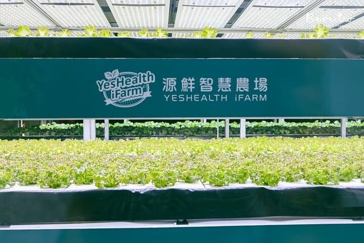 Smart Agriculture & Daxi Day Trip: iFarm, Cihu Park & Tea Tasting