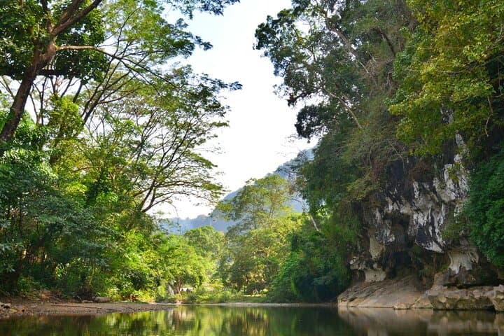 Khao Sok Half-Day Jungle Escape: Sunset Trek, Waterfall Swim & Night Walk photo 2