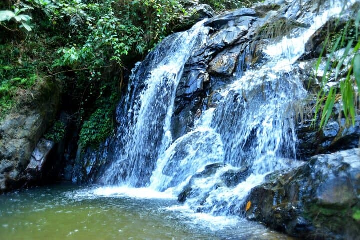 Khao Sok Half-Day Jungle Escape: Sunset Trek, Waterfall Swim & Night Walk photo 3