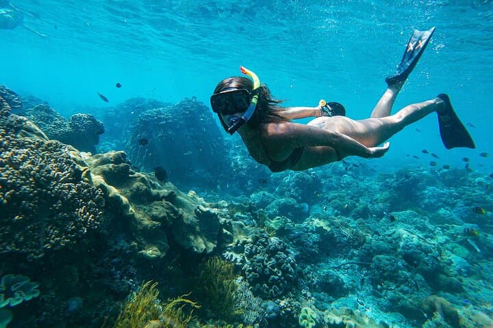 Bali Blue Lagoon Snorkeling: Shared Transfers to Tanjung Jepun with Lunch photo 2