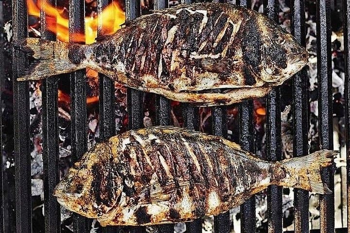 Zakynthos VIP Catch and Cook Fishing Trip: Small-Group Ionian Sea Experience photo 2