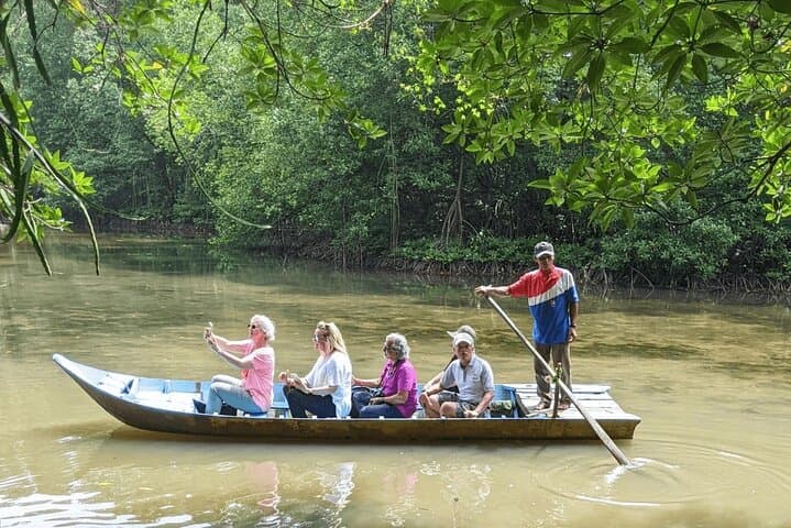 Paddling the Can Gio Mangroves: Small-Group Eco Tour from Ho Chi Minh City