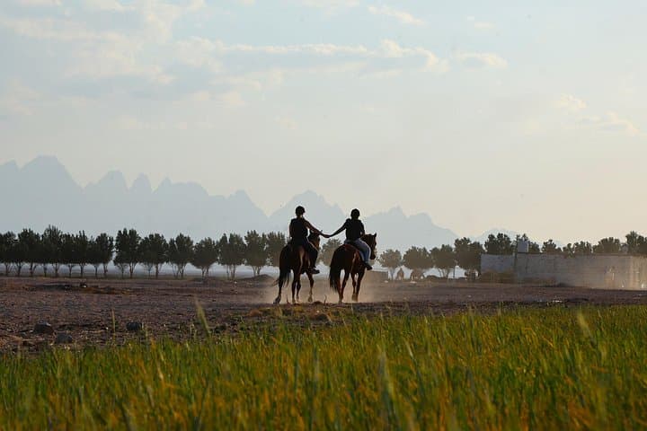 Hurghada Desert Jeep & Horse Safari with Stargazing and Dinner photo 2