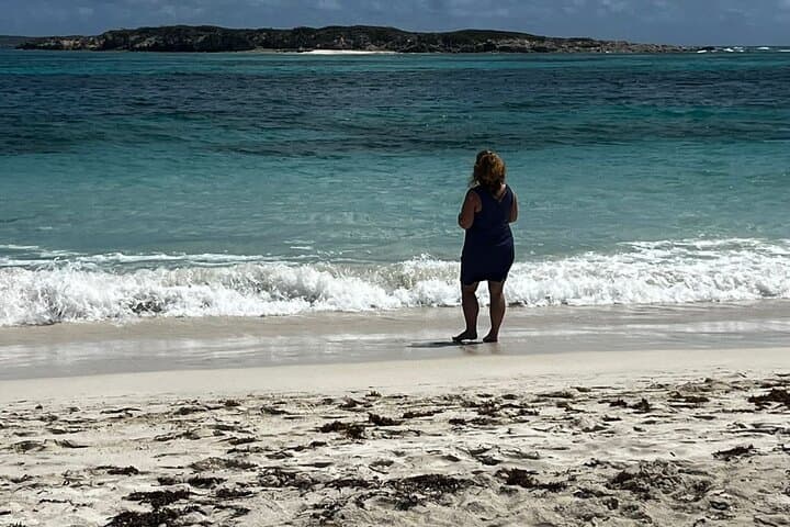 St. Maarten Full-Day Island Sightseeing Tour — One Island, Two Nations photo 3