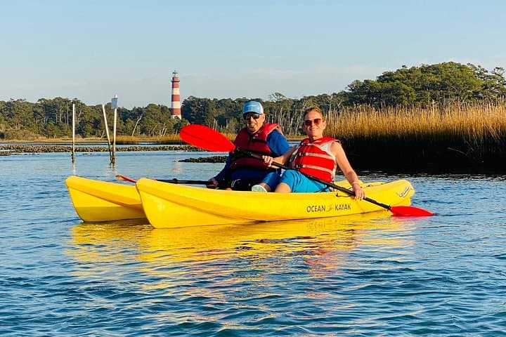 Chincoteague Kayak Rentals Around Assateague Island — Paddle to Wild Ponies & Coastal Wildlife photo 4