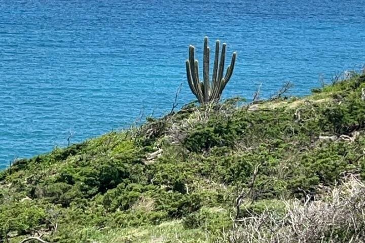 St. Maarten Full-Day Island Sightseeing Tour — One Island, Two Nations photo 6