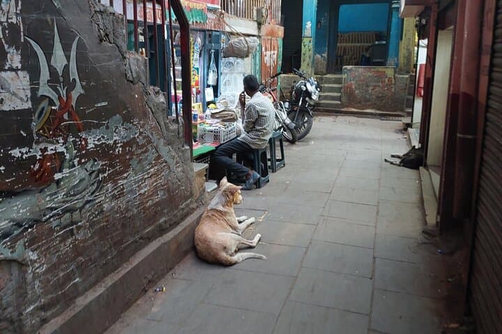 Varanasi Walking Tour: Dawn Ghats, Ganga Aarti & Hidden Alleys photo 6