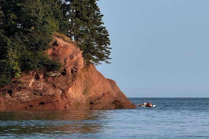 Bay of Fundy Guided Tour from Saint John — Reversing Falls, St. Martins & Fundy Trail photo 5