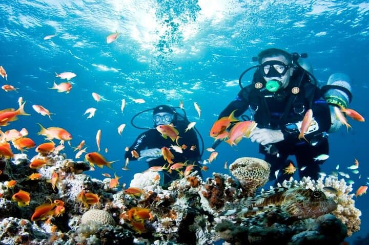 Antalya Mediterranean Diving Adventure — Two Guided Dives from Kemer photo 4