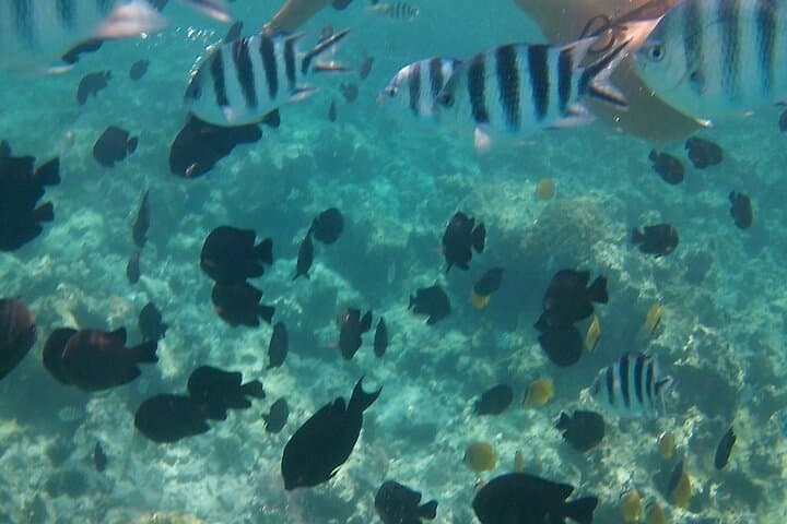 Beginner Scuba in Chania: Two-Boat Dives & Blue Cave Experience photo 4