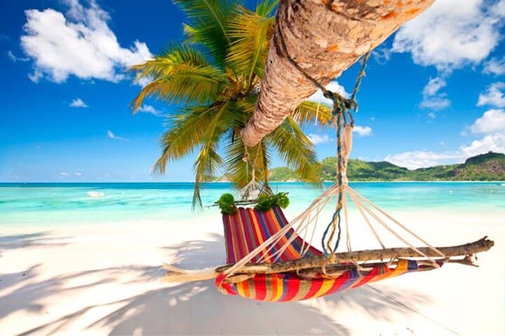 Saona Island Premium Day Trip from Punta Cana — Natural Pool, Private Beach & Snorkel photo 2