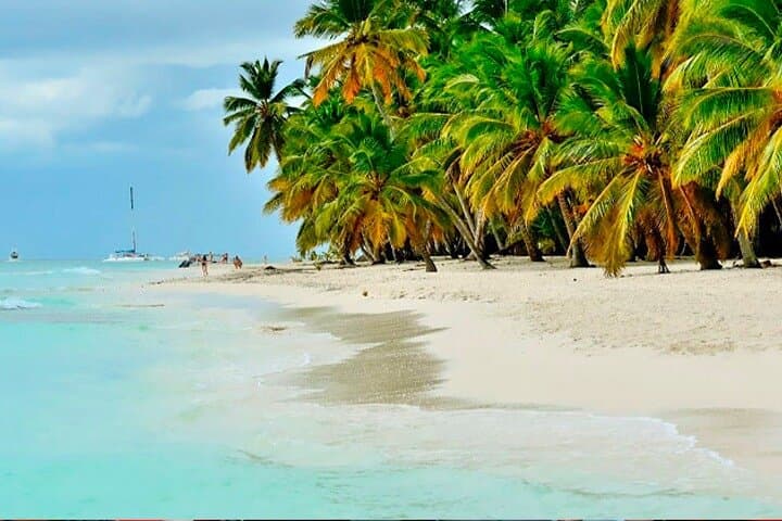 Saona Island Premium Day Trip from Punta Cana — Natural Pool, Private Beach & Snorkel photo 3