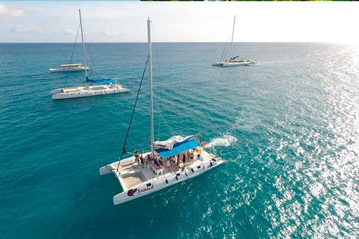 Saona Island Premium Day Trip from Punta Cana — Natural Pool, Private Beach & Snorkel photo 4