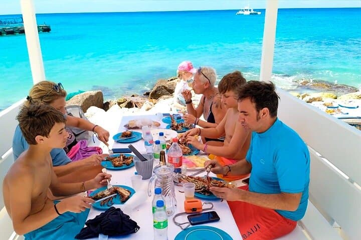 Saona Island Premium Day Trip from Punta Cana — Natural Pool, Private Beach & Snorkel photo 5