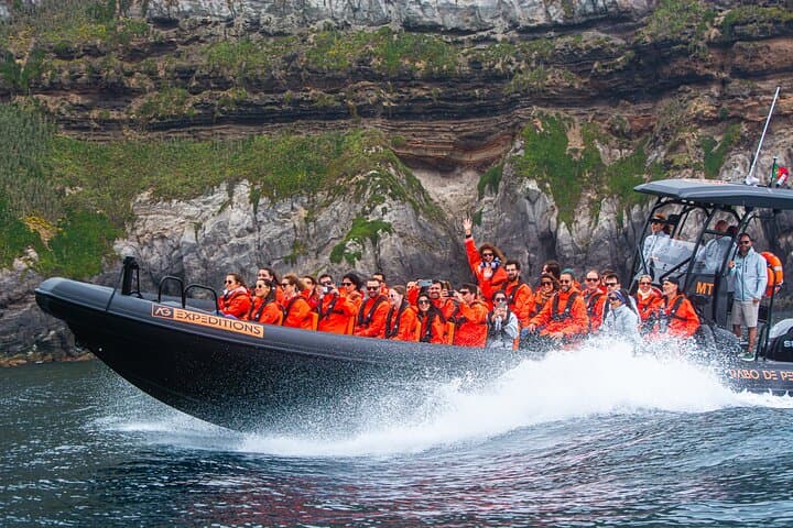Wild North Coast Caves & Cliffs Boat Tour — São Miguel Adventure photo 2