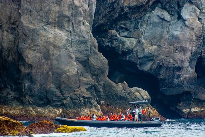 Wild North Coast Caves & Cliffs Boat Tour — São Miguel Adventure photo 3