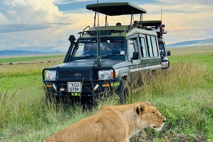 3-Day Maasai Mara Migration Safari: Big Five & Wildebeest River Crossings photo 4