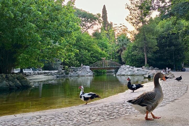 Sunrise Pilates in Athens' National Garden: Gentle Core Work Among Ancient Trees photo 5