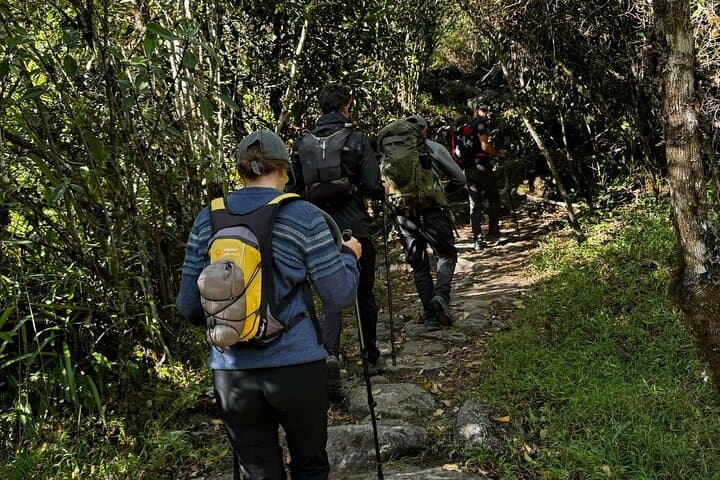 Short Inca Trail to Machu Picchu: 2-Day Trek with Vistadome Return photo 3