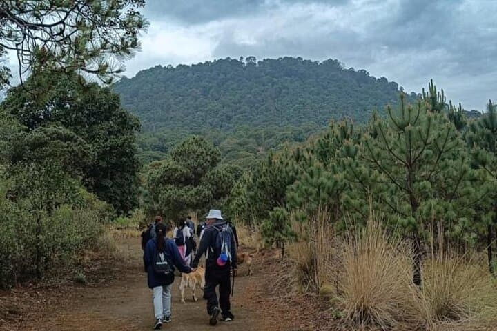 Explore the Volcanic Caves of Xitle: A 6-Hour Hiking Adventure from CDMX photo 4