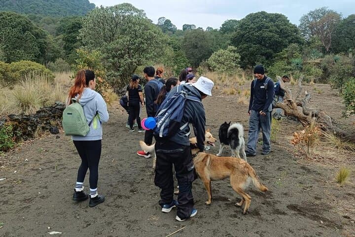 Explore the Volcanic Caves of Xitle: A 6-Hour Hiking Adventure from CDMX photo 6
