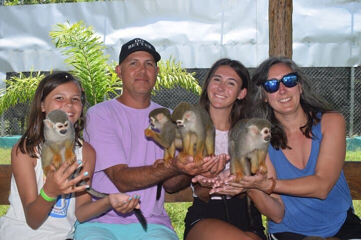Damajagua Waterfalls & Monkey Home Adventure — Puerto Plata Canyoning and Wildlife Interaction photo 2