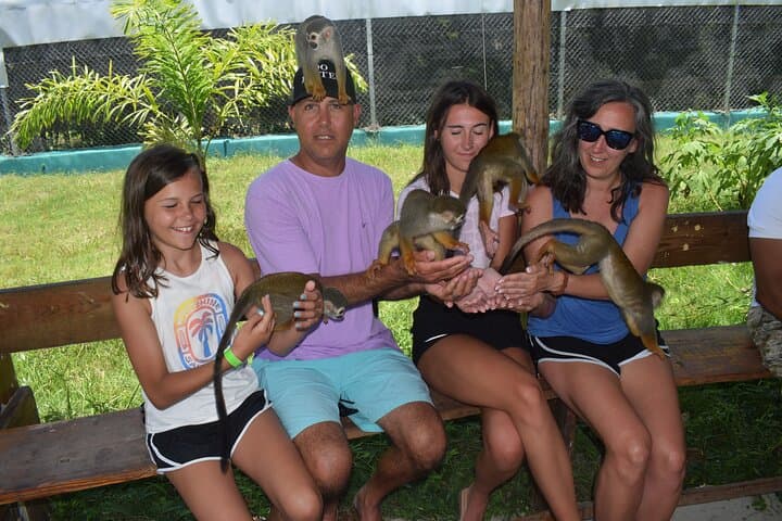 Damajagua Waterfalls & Monkey Home Adventure — Puerto Plata Canyoning and Wildlife Interaction photo 4