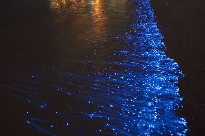 Paddling the Glow: Night Kayak Tour of Mosquito Bay, Vieques photo 2