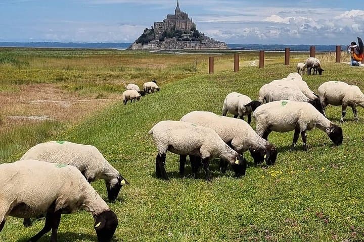 Mont Saint-Michel 2-Hour Guided Walking Tour: Abbey, Tides & Hidden Alleys photo 3