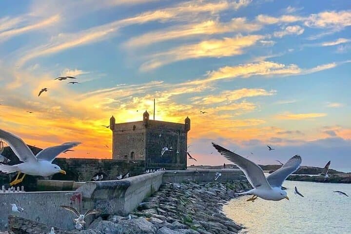 Essaouira Day Trip from Marrakech — Private Coastal Escape & Medina Walk