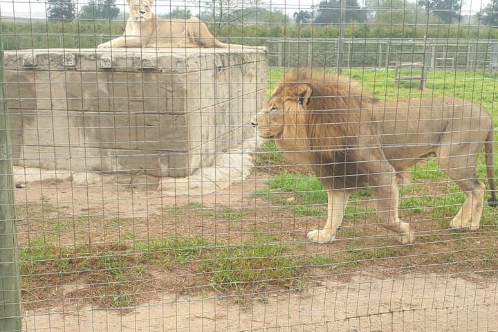 Cape Winelands Day Trip from Cape Town: Wine, Wildlife & History photo 2