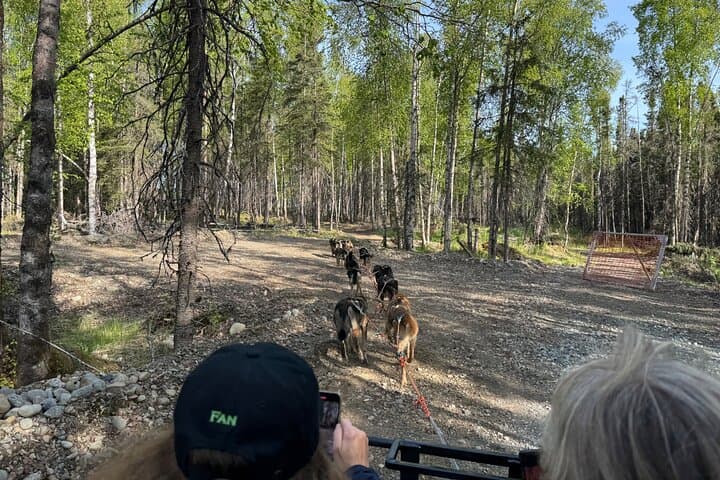 Anchorage Authentic Dog Sledding Experience with an Iditarod Legacy photo 5