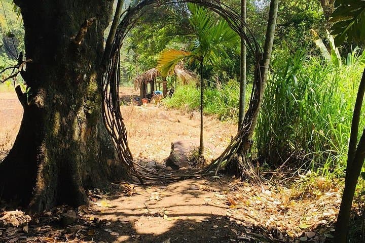 Sunrise Hike to Little Adam’s Peak — Ella Sunrise, Rail Walk & Village Stream photo 4