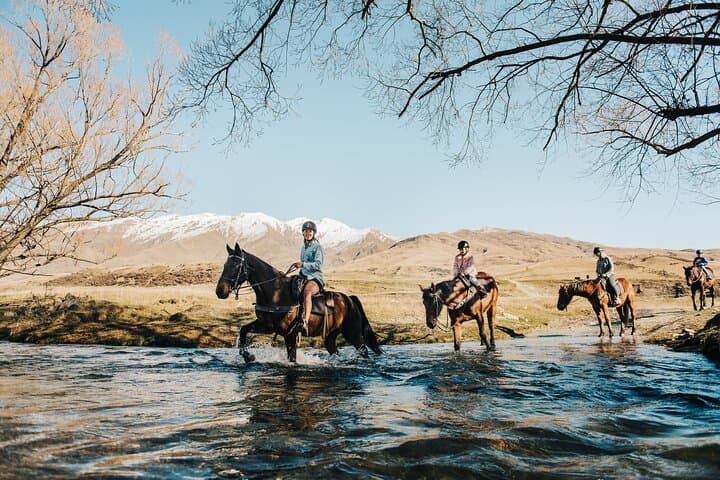 Gold Discovery Horse Trek in Cardrona Valley: 2-Hour Scenic Ride from Wanaka