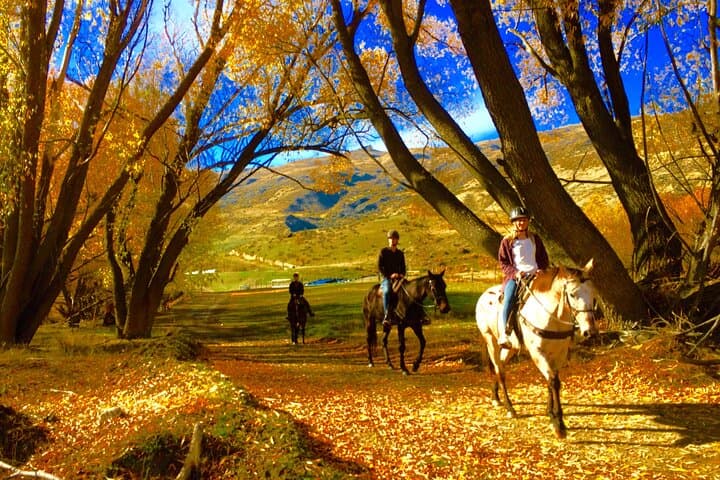 Gold Discovery Horse Trek in Cardrona Valley: 2-Hour Scenic Ride from Wanaka photo 3