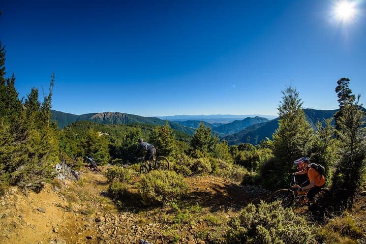 Wairoa Gorge Private MTB Shuttle — Full-Day Nelson Mountain Biking Experience photo 5