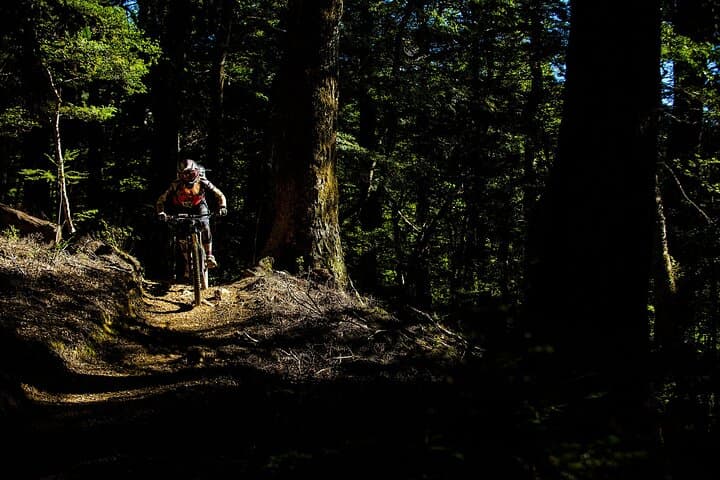Wairoa Gorge Private MTB Shuttle — Full-Day Nelson Mountain Biking Experience photo 6