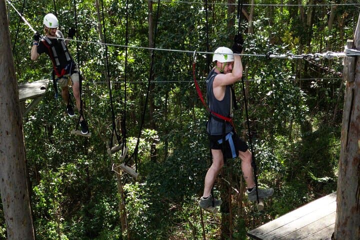 Treetop Challenge Adrenaline Pass: Zipline and High-Ropes at Tamborine Mountain photo 2